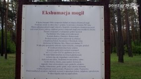 Mogiły w Lasach Rożnowickich - zdjęcie 29