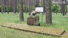 Mogiły w Lasach Rożnowickich - zdjęcie 28