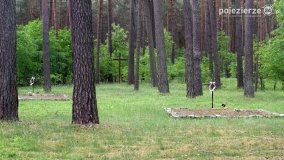 Mogiły w Lasach Rożnowickich - zdjęcie 22