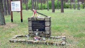 Mogiły w Lasach Rożnowickich - zdjęcie 21