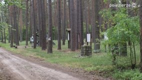 Mogiły w Lasach Rożnowickich - zdjęcie 19