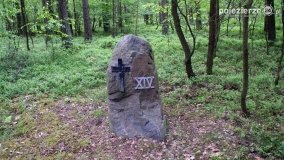 Mogiły w Lasach Rożnowickich - zdjęcie 18