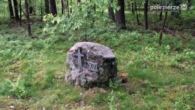 Mogiły w Lasach Rożnowickich - zdjęcie 17