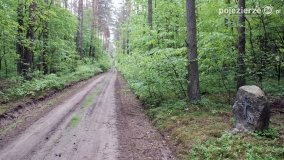 Mogiły w Lasach Rożnowickich - zdjęcie 16