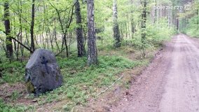 Mogiły w Lasach Rożnowickich - zdjęcie 14