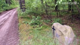 Mogiły w Lasach Rożnowickich - zdjęcie 12