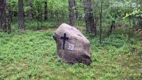 Mogiły w Lasach Rożnowickich - zdjęcie 11