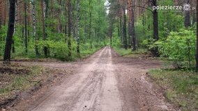 Mogiły w Lasach Rożnowickich - zdjęcie 8