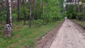 Mogiły w Lasach Rożnowickich - zdjęcie 5