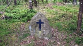 Mogiły w Lasach Rożnowickich - zdjęcie 3