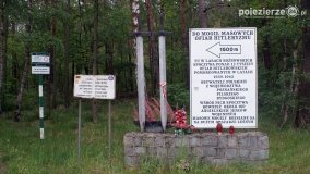 Mogiły w Lasach Rożnowickich - zdjęcie 2