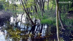 „Czady biesów” - cudowna i dzika kraina - zdjęcie 35