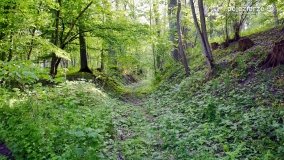 „Czady biesów” - cudowna i dzika kraina - zdjęcie 34