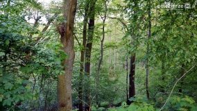 „Czady biesów” - cudowna i dzika kraina - zdjęcie 33