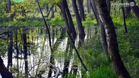 „Czady biesów” - cudowna i dzika kraina - zdjęcie 31