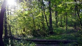 „Czady biesów” - cudowna i dzika kraina - zdjęcie 30