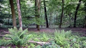 „Czady biesów” - cudowna i dzika kraina - zdjęcie 29