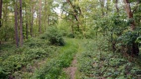 „Czady biesów” - cudowna i dzika kraina - zdjęcie 28