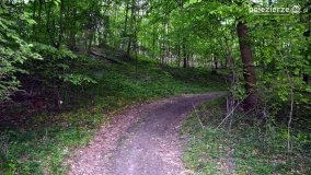 „Czady biesów” - cudowna i dzika kraina - zdjęcie 24