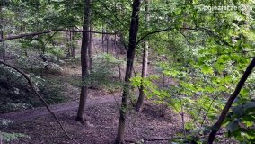 „Czady biesów” - cudowna i dzika kraina - zdjęcie 23