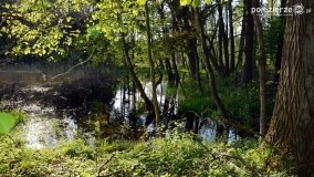 „Czady biesów” - cudowna i dzika kraina - zdjęcie 22