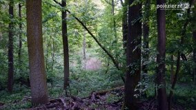 „Czady biesów” - cudowna i dzika kraina - zdjęcie 20