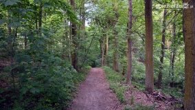 „Czady biesów” - cudowna i dzika kraina - zdjęcie 18