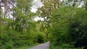 „Czady biesów” - cudowna i dzika kraina - zdjęcie 17