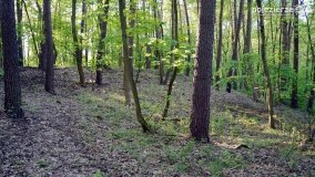 „Czady biesów” - cudowna i dzika kraina - zdjęcie 16