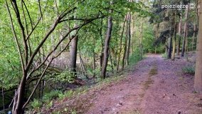 „Czady biesów” - cudowna i dzika kraina - zdjęcie 11