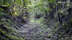 „Czady biesów” - cudowna i dzika kraina - zdjęcie 10