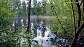 „Czady biesów” - cudowna i dzika kraina - zdjęcie 9