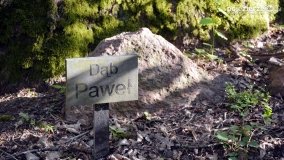 „Czady biesów” - cudowna i dzika kraina - zdjęcie 8