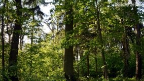 „Czady biesów” - cudowna i dzika kraina - zdjęcie 7