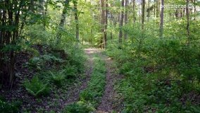 „Czady biesów” - cudowna i dzika kraina - zdjęcie 6