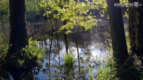 „Czady biesów” - cudowna i dzika kraina - zdjęcie 4