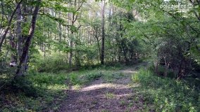 „Czady biesów” - cudowna i dzika kraina - zdjęcie 2