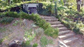 Pałac w Arcugowie - zdjęcie 25