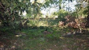 Pałac w Arcugowie - zdjęcie 13