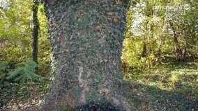 Pałac w Arcugowie - zdjęcie 9