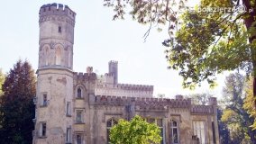 Pałac w Arcugowie - zdjęcie 7