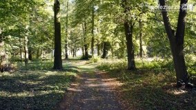 Pałac w Arcugowie - zdjęcie 6