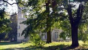 Pałac w Arcugowie - zdjęcie 5