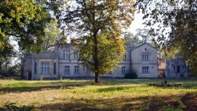 Pałac w Arcugowie - zdjęcie 4