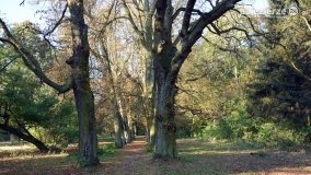 Pałac w Arcugowie - zdjęcie 3