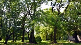 Magiczny pałac w Kołaczkowie - zdjęcie 38