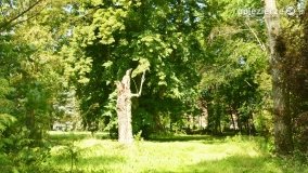 Magiczny pałac w Kołaczkowie - zdjęcie 35