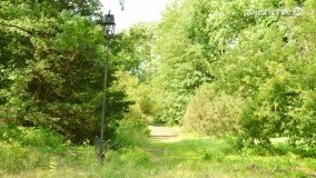 Magiczny pałac w Kołaczkowie - zdjęcie 33