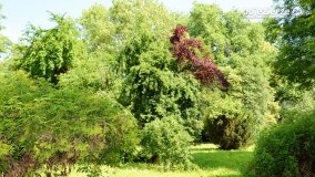 Magiczny pałac w Kołaczkowie - zdjęcie 31