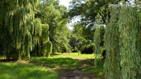 Magiczny pałac w Kołaczkowie - zdjęcie 29